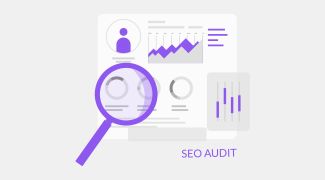 Website basic SEO audit service